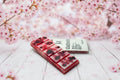 Duft-Wachsmelts Cherry Blossom