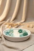 Kaktus in der Schale