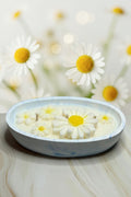Blumenwiese